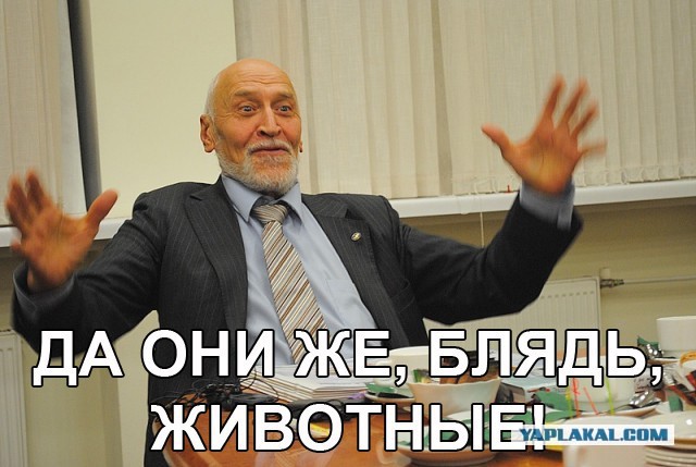 Депутат из Щёлково, чья жена перекрыала МКАД: "Я крокодил, крокожу и буду крокодить"