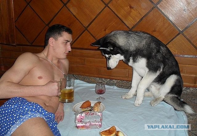 Читатель