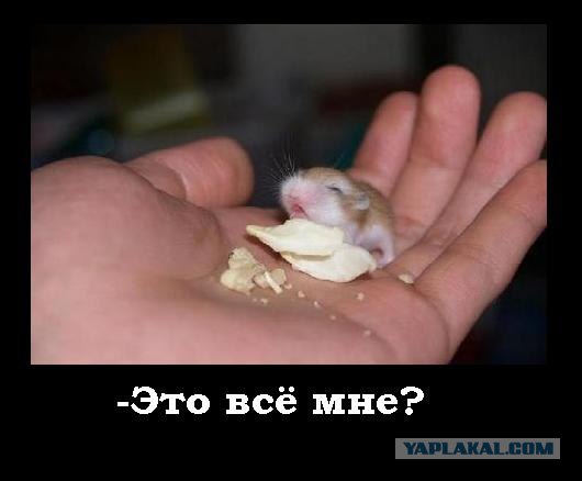 Застукали на месте преступления