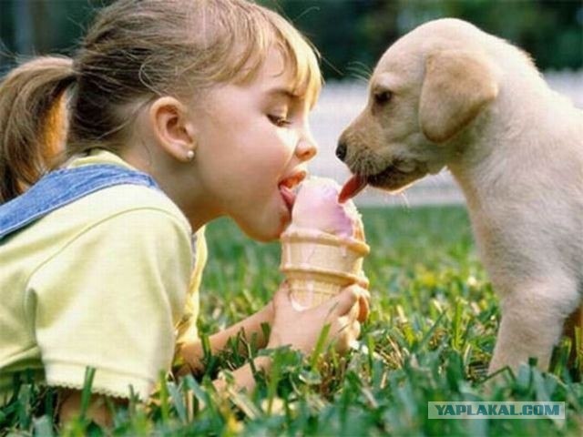 Лучшие друзья навсегда