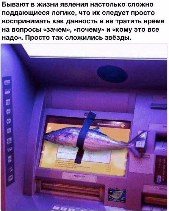 Забавные шутки, картинки и фразы из этих ваших интернетов