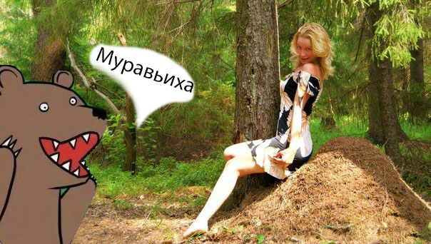 Муравейник