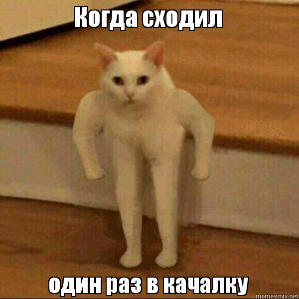 Трюки выполнены хорошо подготовленным специалистом
