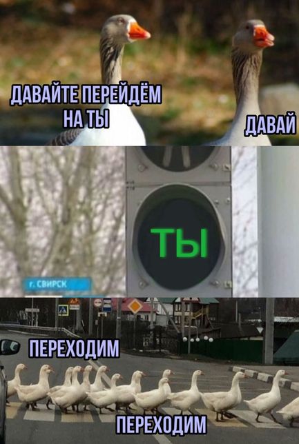 Тупые мемы