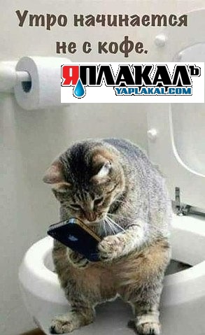 ⚡ Сайту Yaplakal.com сегодня 16 лет!