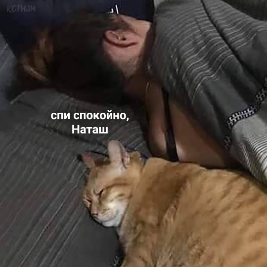Внедорожник "Barsik" - создан удивлять