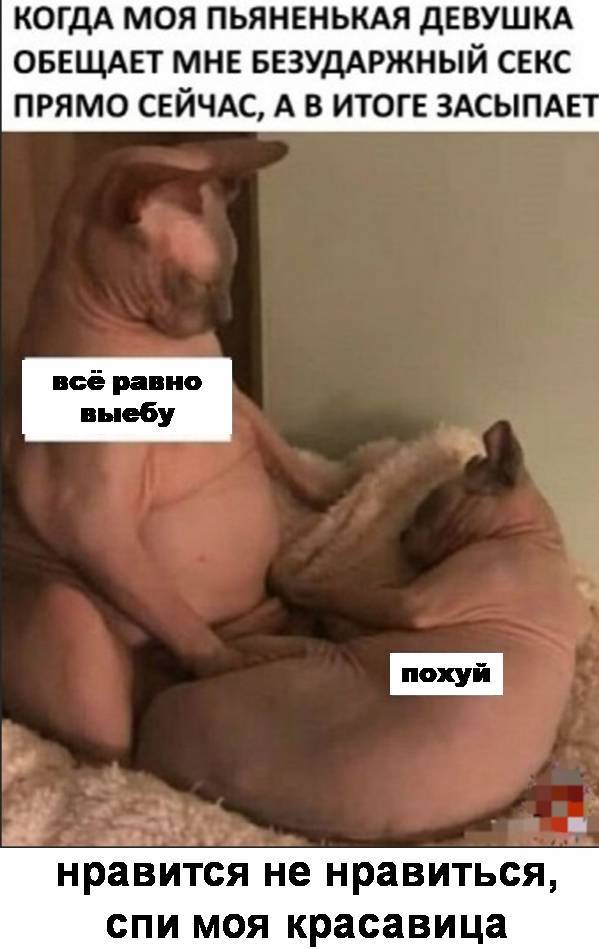 Бредзона 24.08.2020