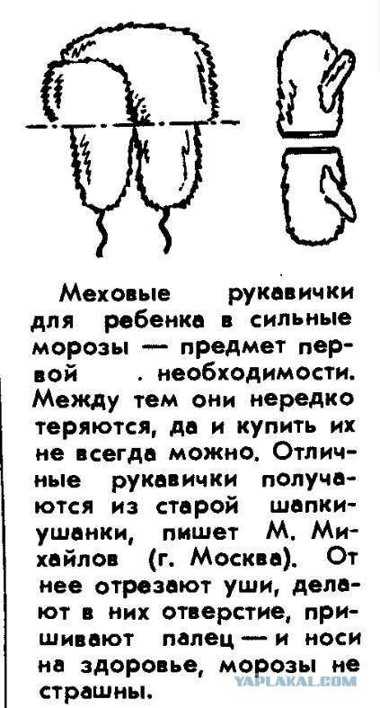 20 век в цвете. Наша страна 40 лет назад в олимпийский 80-й