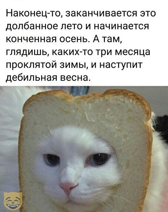 Дебилизмы из сети 8.02.21