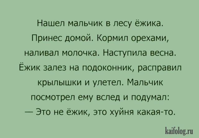 Пьяные ёжики