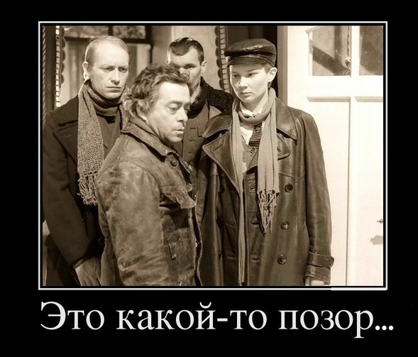 Скотсети и прочие интернеты 05.08.2021