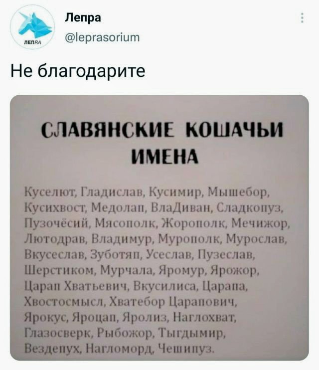 Картинки и мемы для настроения 26.10.2021