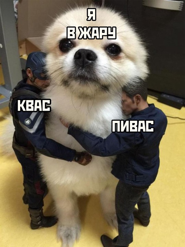 Картинки и мемы для настроения - 29