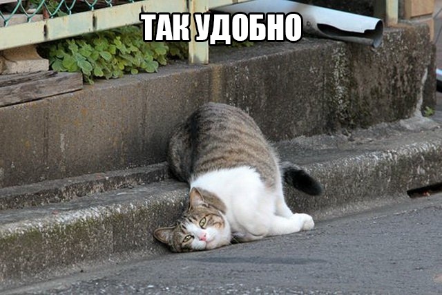 Немного картинок."Колбасный ветер". Август