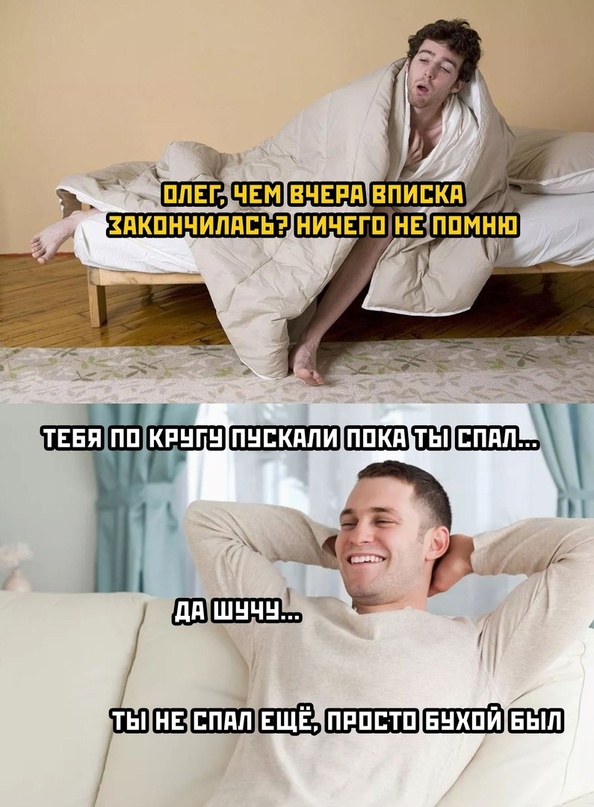 Весёлый полтишок 02.11.22