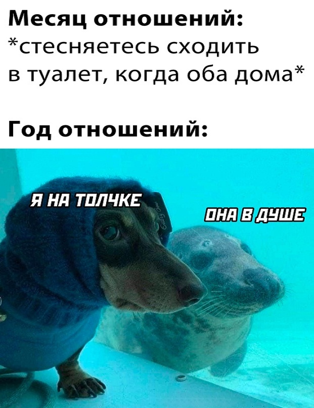 Немного картинок для настроения - 137