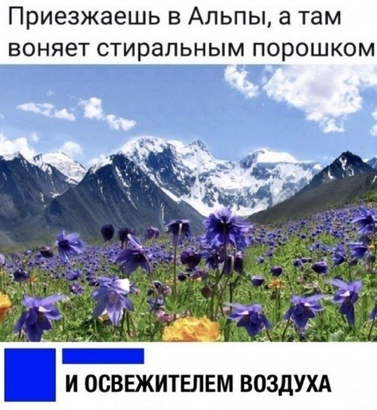 Так себе картинки 24.04.23