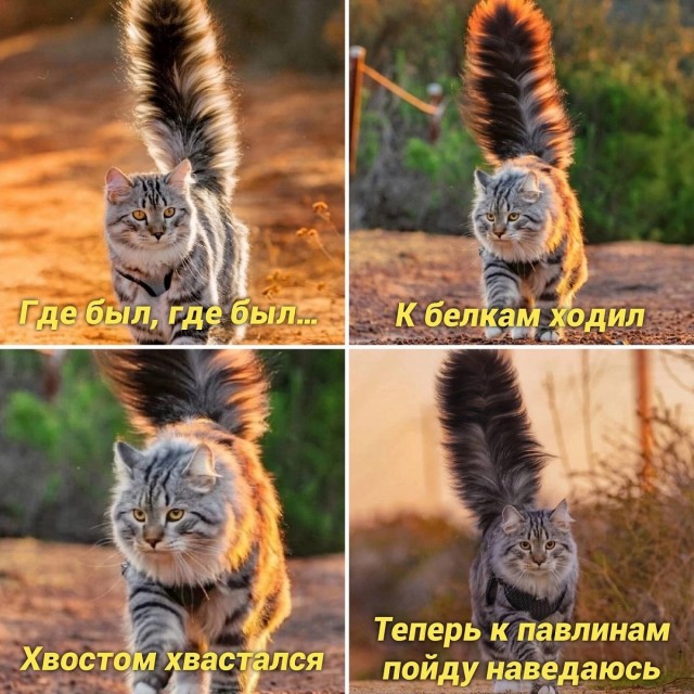 Картинки и мемы, всяко разно - 175