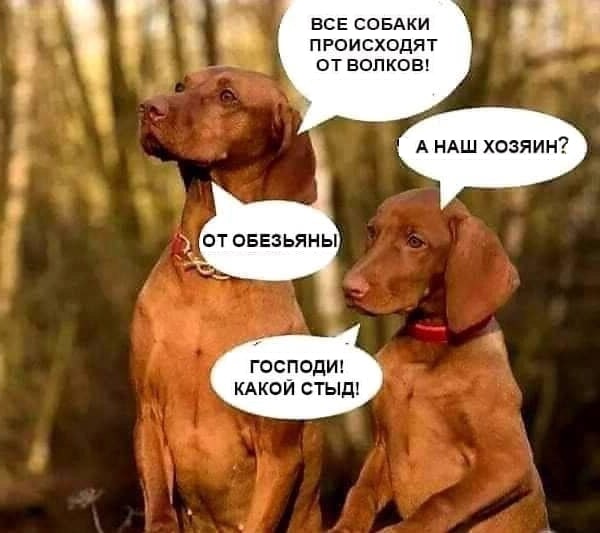 Картинки с юбилея