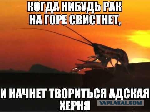 Я с надеждой жду катастрофу в мире, только так можно спасти человечество от деградации.
