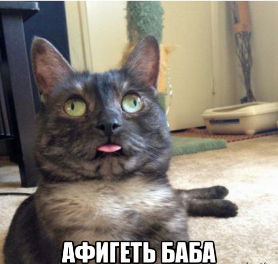 Гадина