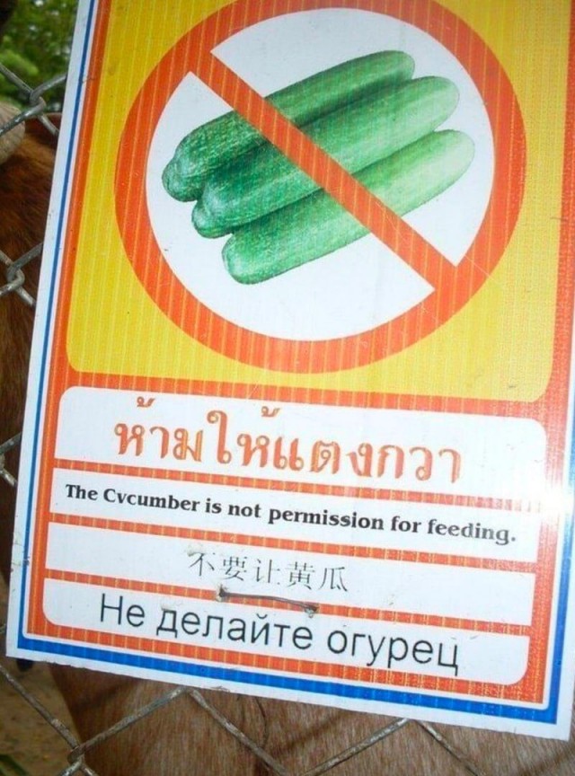 Юмор в картинках и без