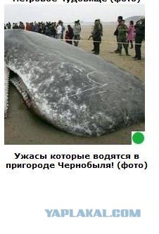 Автодемотиватор на ЯПе