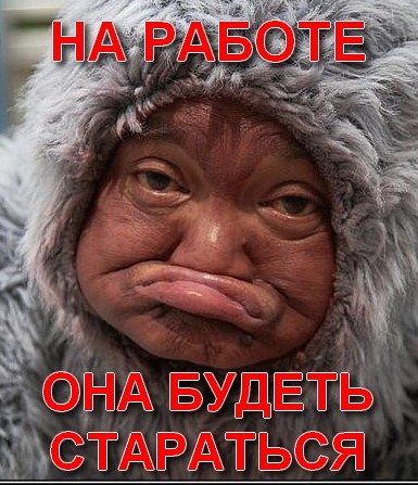 Девушка ищет достойную работу (4 фото)