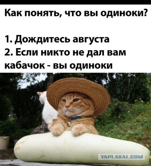 Началось!