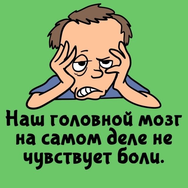 Подборка интересных фактов на все случаи жизни