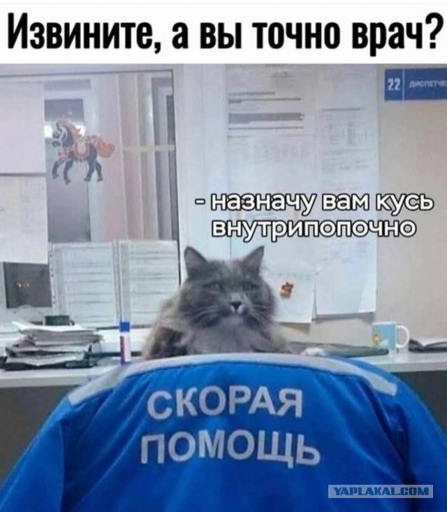 Завалялось тут случайно немного забавных картинок