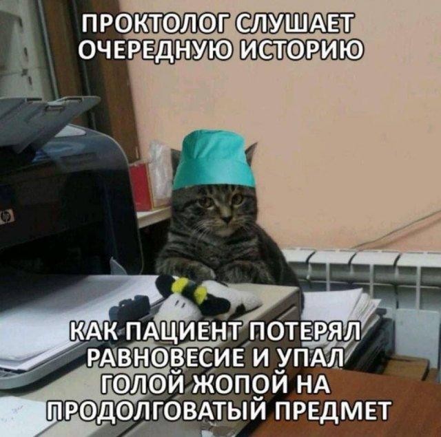 Так себе картинки 27.10.24