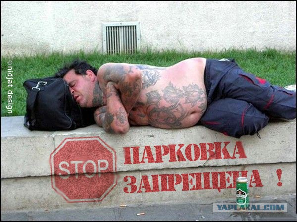 Палкой потыкать?