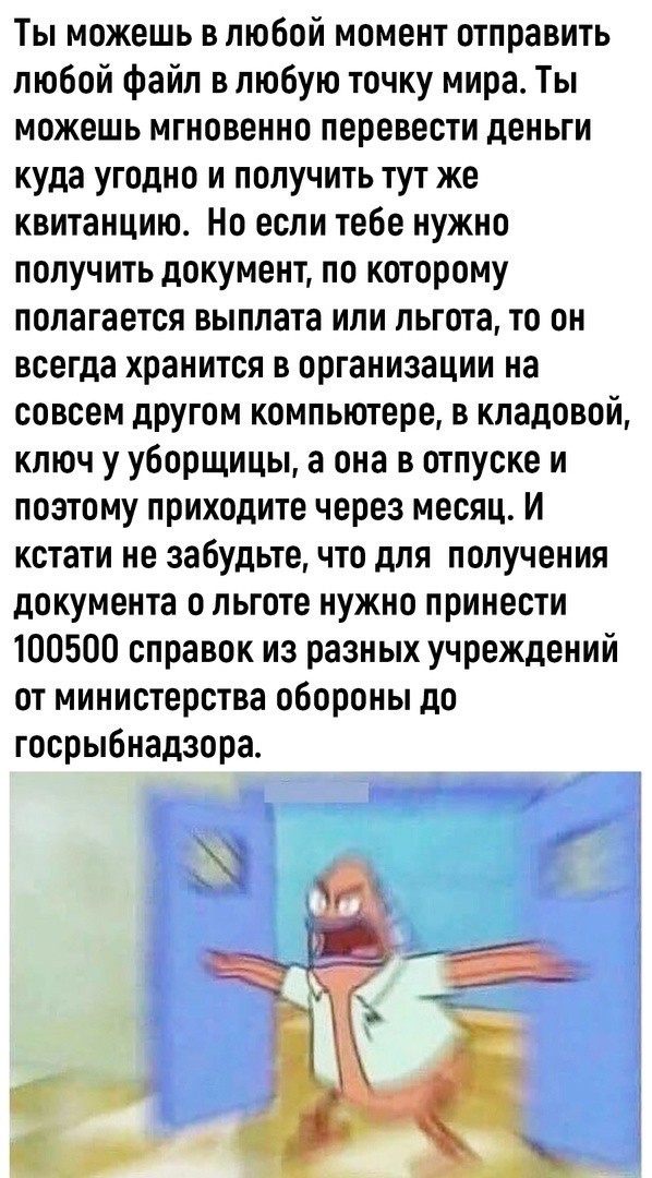 Весёлый полтишок 19.12.24