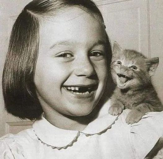 Кот с человеческим лицом.