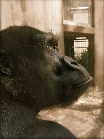 Маркетолог теперь ищет новую работу