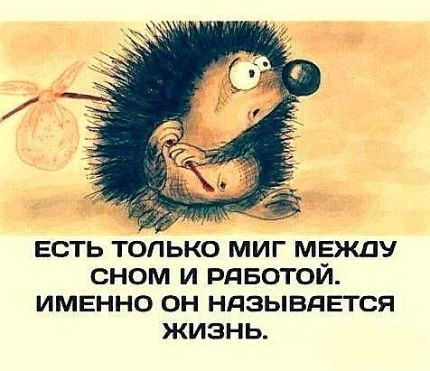 Четверговые картинки