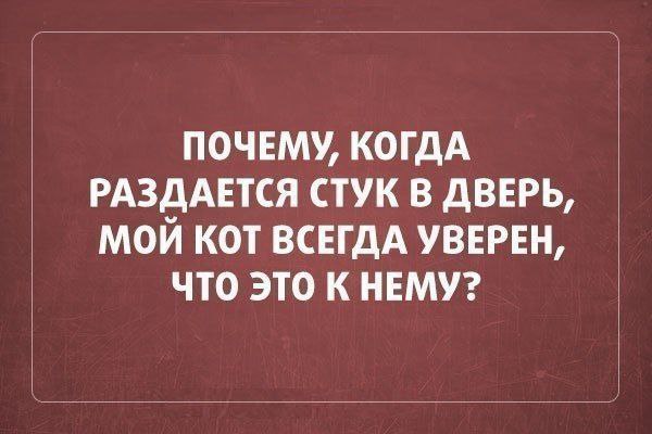 Веселое настроение в картинках (05.10.2025)