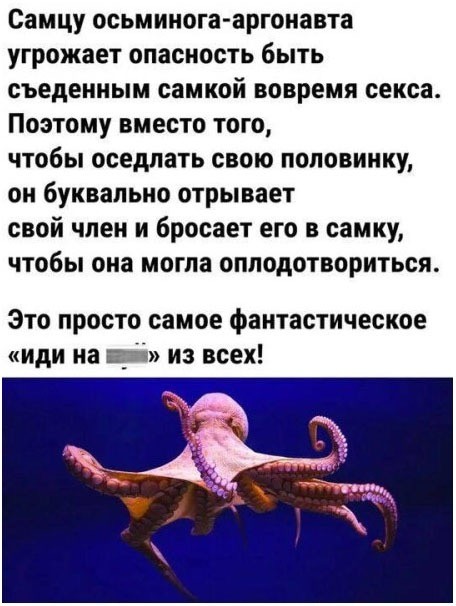 Среды картинки