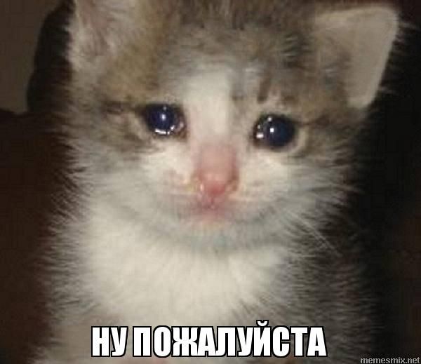 В Омске цыганка спровоцировала скандал в троллейбусе из-за отказа платить за проезд