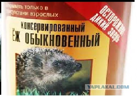 Ежи могут проснуться в Москве через неделю