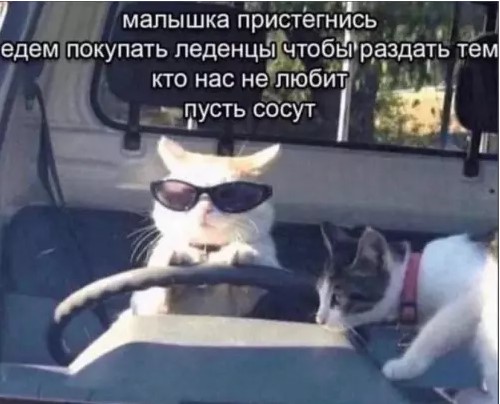 Пакет брать будете?
