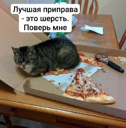 Картиночки, баянчики 01 апреля