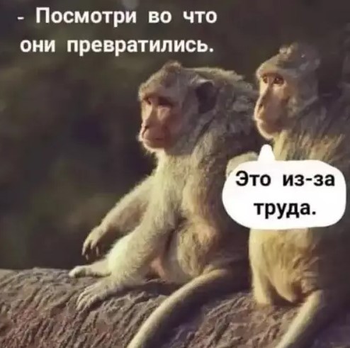 Картиночки, баянчики 03 апреля
