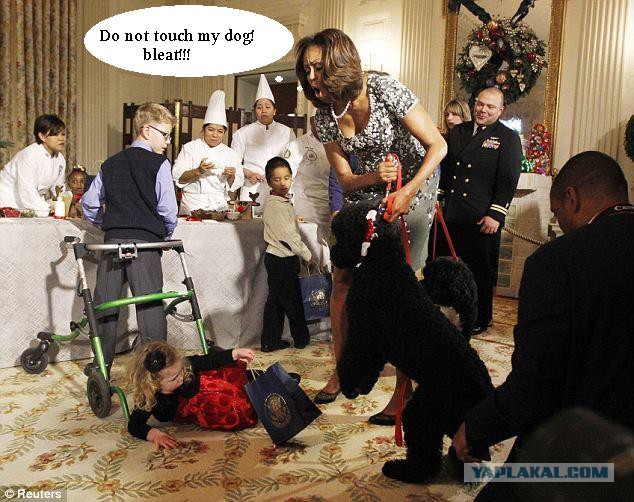 Собака Обамы накинулась на девочку