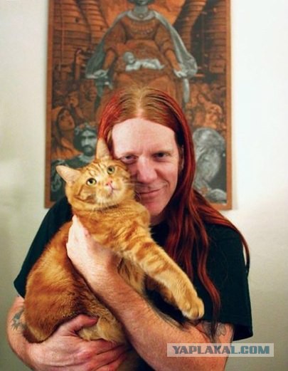 Байкерский котэ