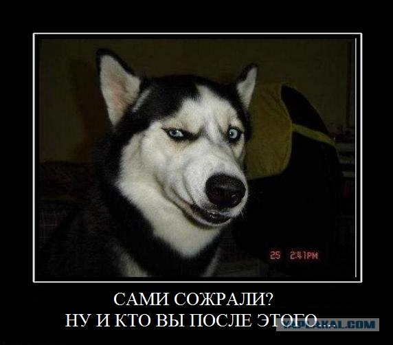 Тушенка 1985!