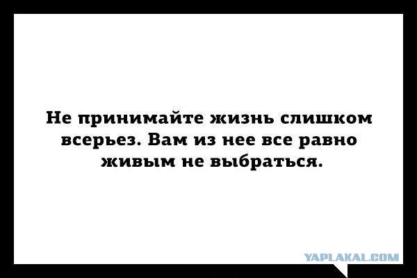 Подборка картинок