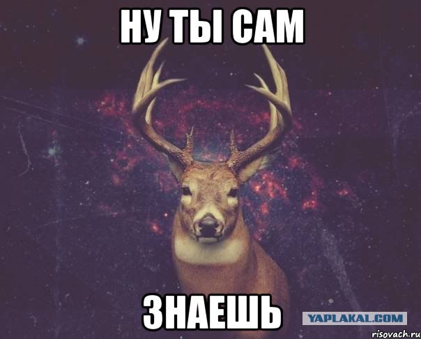Ищу попутчицу