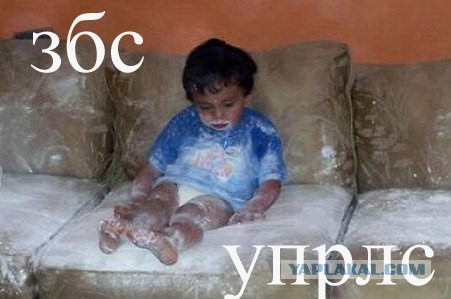 Целеустремленный взгляд...